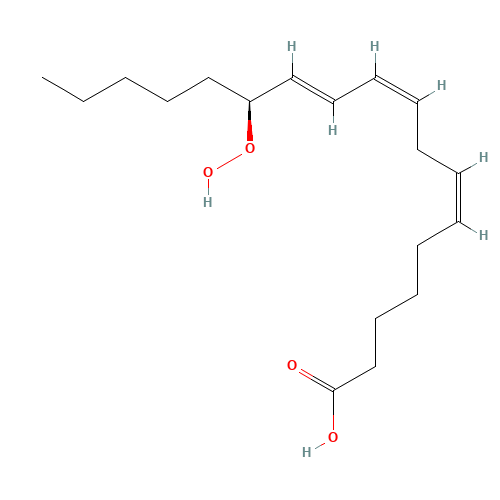 13(S)-HPOTRE(GAMMA) (CAS: 121107-97-9) - Related Chemical Product