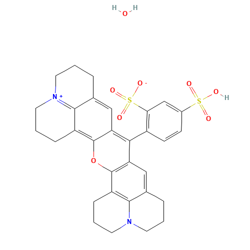 SULFORHODAMINE 101 HYDRATE (CAS: 123333-78-8) - Related Chemical Product