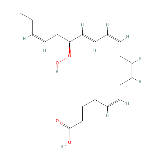 15(S)-HPEPE (CAS: 125992-60-1) - Related Chemical Product