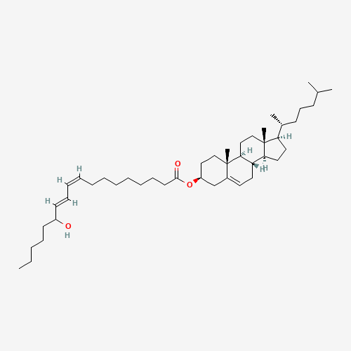 (+/-)-13-HYDROXY-9Z,11E-OCTADECADIENOIC ACID,CHOLESTERYL ESTER (CAS: 167354-91-8) - Related Chemical Product