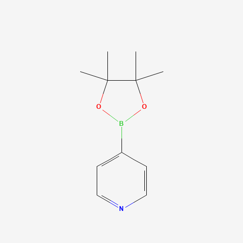 4-Pyridineboronic acid pinacol ester (CAS: 181219-01-2) - Related Chemical Product