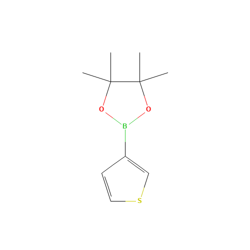 Thiophene-3-boronic acid pinacol ester (CAS: 214360-70-0) - Related Chemical Product