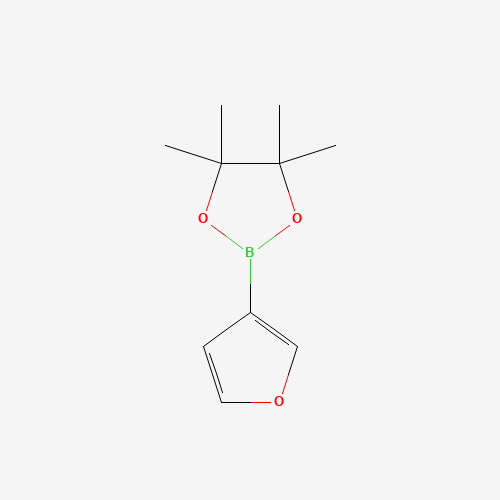 3-Furanboronic acid pinacol ester (CAS: 248924-59-6) - Related Chemical Product