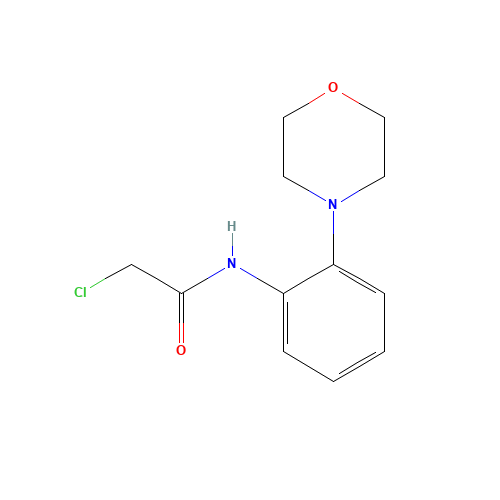 2-CHLORO-N-(2-MORPHOLIN-4-YL-PHENYL)-ACETAMIDE (CAS: 303151-23-7) - Related Chemical Product