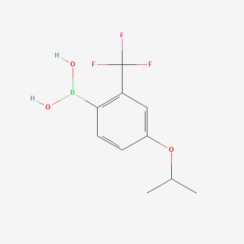 4-ISOPROPOXY-2-(TRIFLUOROMETHYL)PHENYLBORONIC ACID (CAS: 313545-40-3) - Related Chemical Product