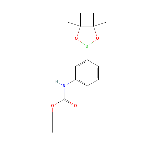 TERT-BUTYL-N-[3-(4,4,5,5-TETRAMETHYL-1,3,2-DIOXABOROLAN-2-YL)PHENYL]CARBAMATE (CAS: 330793-09-4) - Related Chemical Product