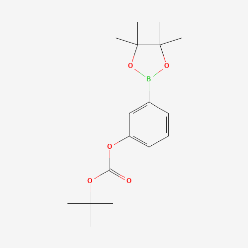 TERT-BUTYL-3-(4,4,5,5-TETRAMETHYL-1,3,2-DIOXABOROLAN-2-YL)PHENYL CARBONATE (CAS: 480438-74-2) - Related Chemical Product