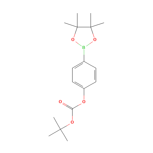 TERT-BUTYL-4-(4,4,5,5-TETRAMETHYL-1,3,2-DIOXABOROLAN-2-YL)PHENYLCARBONATE (CAS: 480438-75-3) - Related Chemical Product
