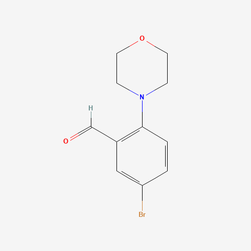 5-BROMO-2-(N-MORPHOLINO)-BENZALDEHYDE (CAS: 742099-65-6) - Related Chemical Product