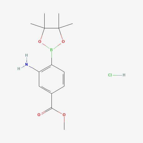 (2-Amino-4-methoxycarbonylphenyl)boronic acid pinacol ester hydrochloride (CAS: 850567-49-6) - Related Chemical Product