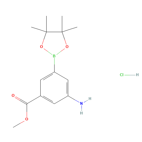 (3-AMINO-5-METHOXYCARBONYL)BENZENEBORONIC ACID PINACOL ESTER HYDROCHLORIDE (CAS: 850567-50-9) - Related Chemical Product