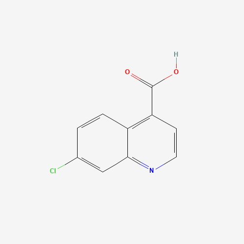 7-chloroquinoline-4-carboxylic acid (CAS: 13337-66-1) - Related Chemical Product