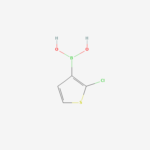 2-Chlorothiophene-3-boronic acid (CAS: 177734-82-6) - Related Chemical Product