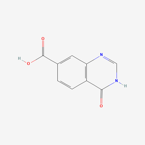 3,4-DIHYDRO-4-OXOQUINAZOLINE-7-CARBOXYLIC ACID (CAS: 202197-73-7) - Related Chemical Product