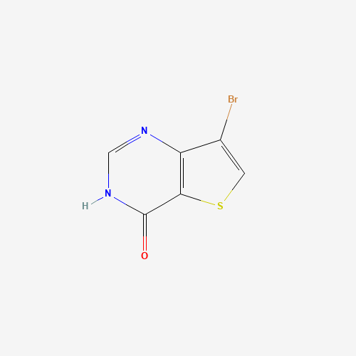 7-BROMOTHIENO[3,2-D]PYRIMIDIN-4(1H)-ONE (CAS: 31169-25-2) - Related Chemical Product