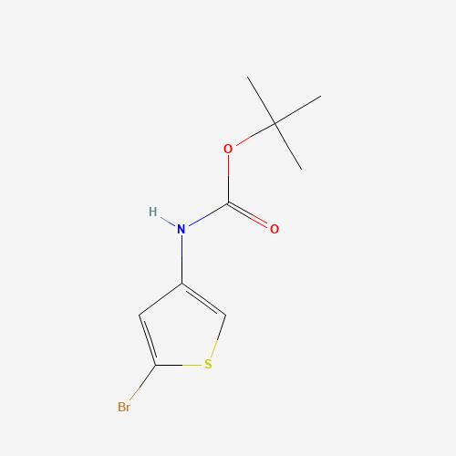 2-BROMO-4-(N-TERT-BUTYLOXYCARBONYLAMINO)THIOPHENE (CAS: 494833-75-9) - Related Chemical Product
