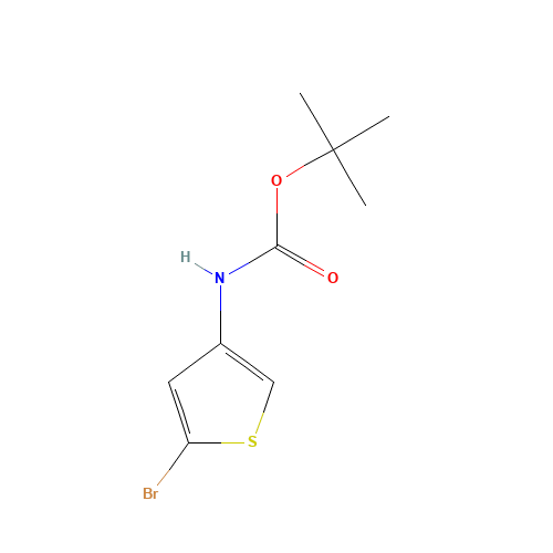 2-BROMO-4-(N-TERT-BUTYLOXYCARBONYLAMINO)THIOPHENE (CAS: 494833-75-9) - Related Chemical Product