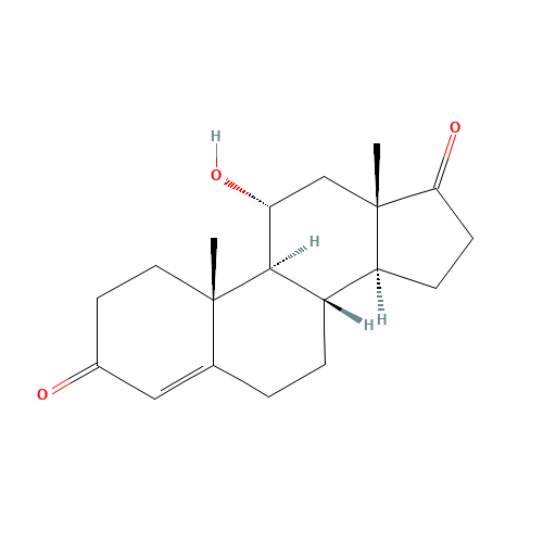 11b-Hydroxyandrost-4-ene-3,17-dione (CAS: 564-33-0) - Related Chemical Product