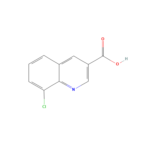 8-CHLOROQUINOLINE-3-CARBOXYLIC ACID (CAS: 71082-54-7) - Related Chemical Product