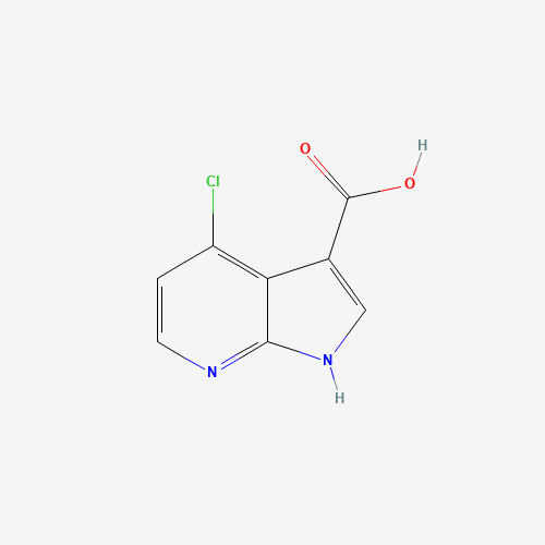 1H-Pyrrolo[2,3-b]pyridine-3-carboxylic  acid, 4-chloro- (CAS: 1000340-37-3) - Related Chemical Product