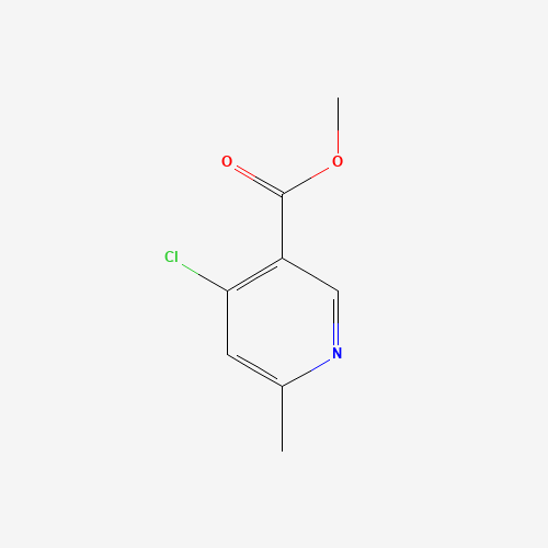 4-CHLORO-6-METHYL-NICOTINIC ACID METHYL ESTER (CAS: 886372-05-0) - Related Chemical Product