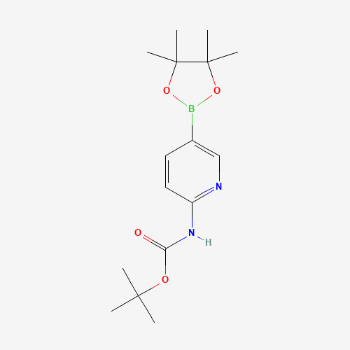 2-(tert-butoxycarbonylamino)pyridine-5-boronic acid,pinacol ester (CAS: 910462-31-6) - Related Chemical Product