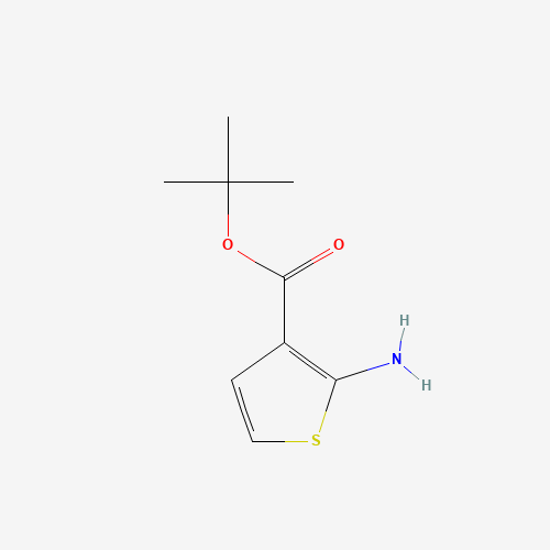 2-AMINOTHIOPHENE-3-CARBOXYLIC ACID T-BUTYL ESTER (CAS: 59739-05-8) - Related Chemical Product