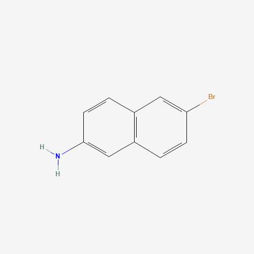 2-Amino-6-bromonaphthalene (CAS: 7499-66-3) - Related Chemical Product