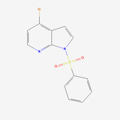 4-BROMO-1-(PHENYLSULFONYL)-1H-PYRROLO[2,3-B]PYRIDINE (CAS: 889939-25-7) - Related Chemical Product