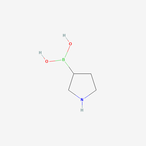 3-(PYRROLIDINO)PHENYLBORONIC ACID (CAS: 120347-75-3) - Related Chemical Product