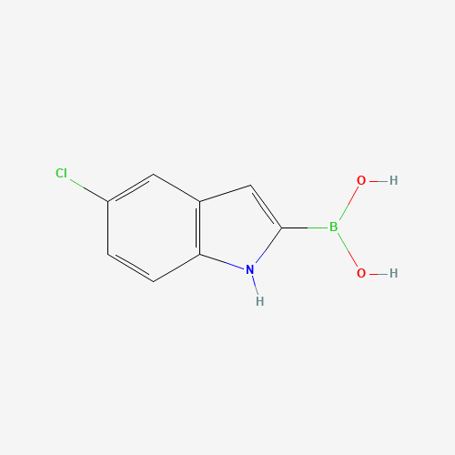 5-CHLORO-1H-INDOLE-2-BORONIC ACID (CAS: 282528-62-5) - Related Chemical Product