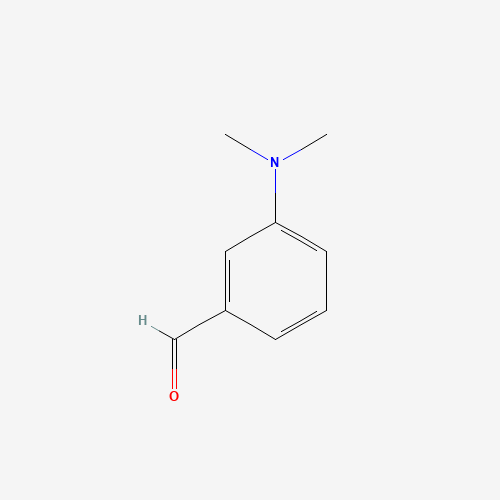 3-(DIMETHYLAMINO)BENZALDEHYDE (CAS: 619-22-7) - Related Chemical Product