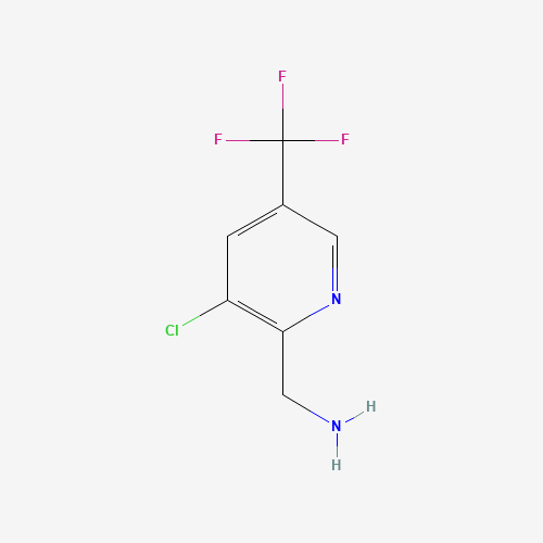 2-(AMINOMETHYL)-3-CHLORO-5-(TRIFLUOROMETHYL)-PYRIDINE HYDROCHLORIDE (CAS: 175277-74-4) - Related Chemical Product
