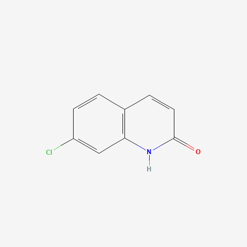 7-Chloro-2-hydroxyquinoline (CAS: 22614-72-8) - Related Chemical Product