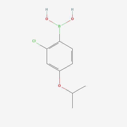 2-CHLORO-4-ISOPROPROXYPHENYLBORONIC ACID (CAS: 313545-47-0) - Related Chemical Product
