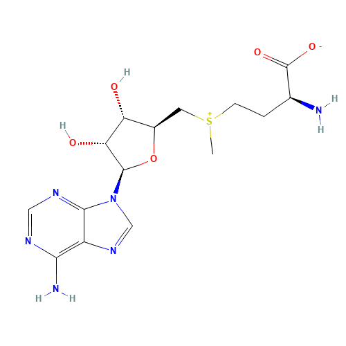 S-Adenosyl-L-methionine (CAS: 29908-03-0) - Related Chemical Product