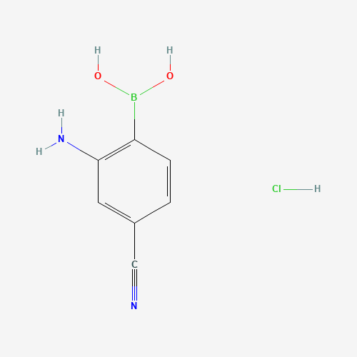 (2-AMINO-4-CYANO)BENZENEBORONIC ACID,HYDROCHLORIDE (CAS: 850568-47-7) - Related Chemical Product