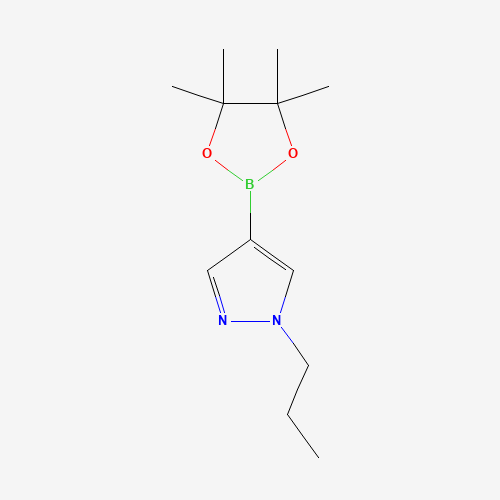 1-Propyl-1H-pyrazole-4-boronic acid pinacol ester (CAS: 827614-69-7) - Related Chemical Product