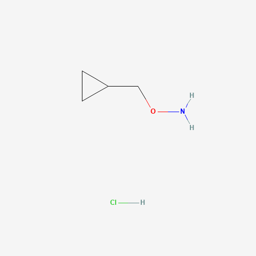 CYCLOPROPYL METHOXYLAMINE HYDROCHLORIDE (CAS: 74124-04-2) - Related Chemical Product