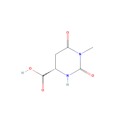 1-Methyl-L-4,5-dihydroorotic acid (CAS: 103365-69-1) - Related Chemical Product