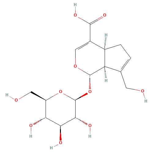 Geniposidic acid (CAS: 27741-01-1) - Related Chemical Product