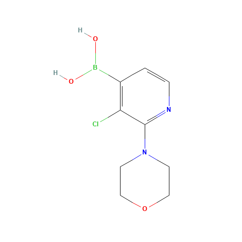 3-chloro-2-morpholino-4-pyridineboronic acid (CAS: 957061-04-0) - Related Chemical Product