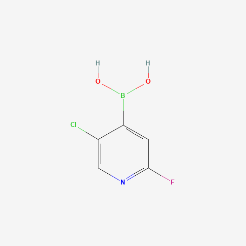 (5-CHLORO-2-FLUOROPYRIDIN-4-YL)BORONIC ACID (CAS: 1034659-38-5) - Related Chemical Product
