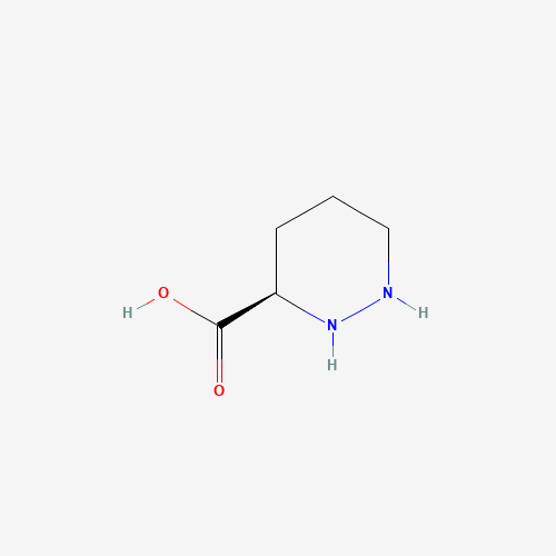 (R)-PIPERAZINE-2-CARBOXYLIC ACID (CAS: 24182-11-4) - Related Chemical Product