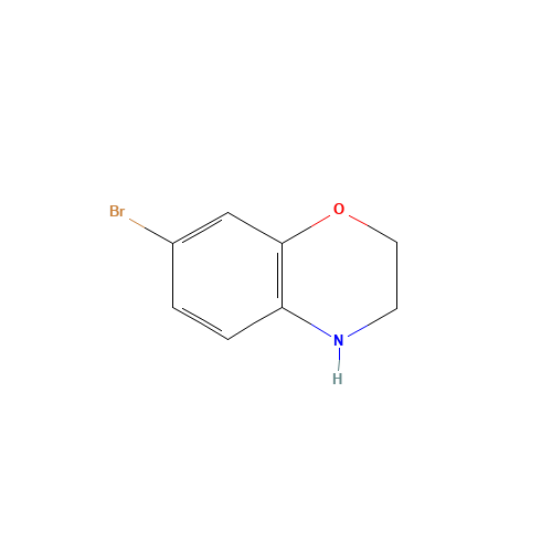 7-Bromo-3,4-dihydro-2H-benzo[1,4]oxazine (CAS: 105679-22-9) - Related Chemical Product