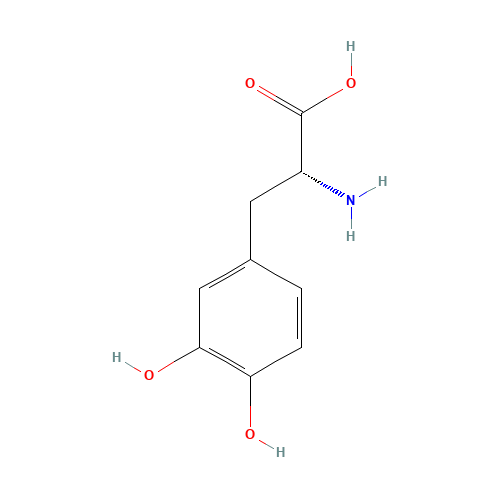 D-DOPA (CAS: 5796-17-8) - Related Chemical Product