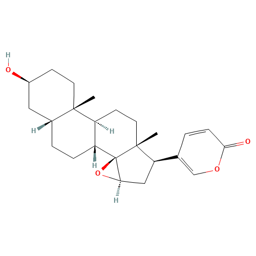 Resibufogenin (CAS: 465-39-4) - Related Chemical Product