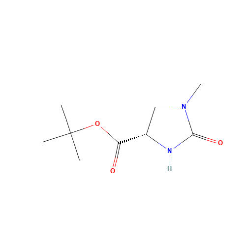 TERT-BUTYL(4S)-1-METHYL-2-OXOIMIDAZOLIDI... (CAS: 83056-79-5) - Related Chemical Product
