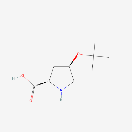 H-Hyp(tBu)-OH (CAS: 79775-07-8) - Related Chemical Product
