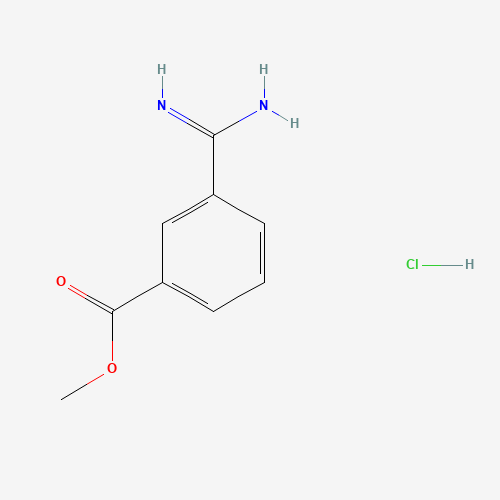 3-Methoxycarbonylbenzamidinehydrochloride (CAS: 18219-39-1) - Related Chemical Product